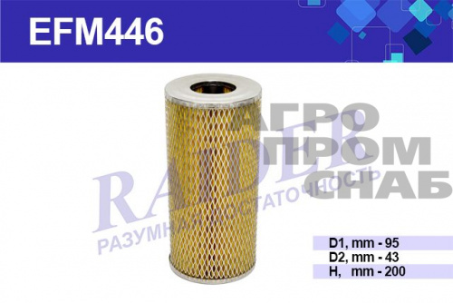 EFM 446